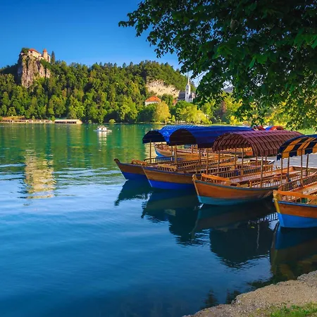 Kupljenik Near Bled - Happy Bohinjska Bela