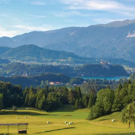 Chalet Kupljenik Near Bled - Happy *