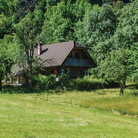 Kupljenik Near Bled - Happy Chalet Bohinjska Bela