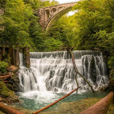 Kupljenik Near Bled - Happy בוהינסקה בלה